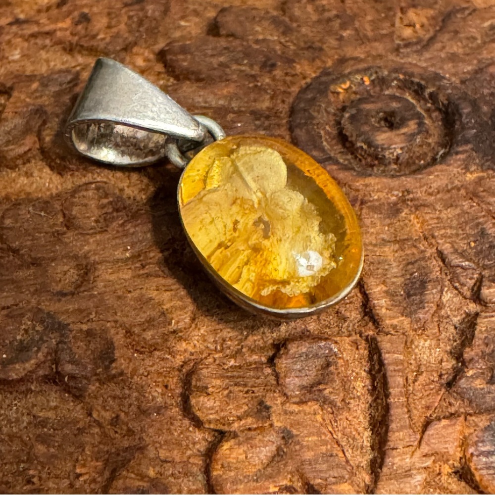 Vintage Preserved Flower Resin Charm